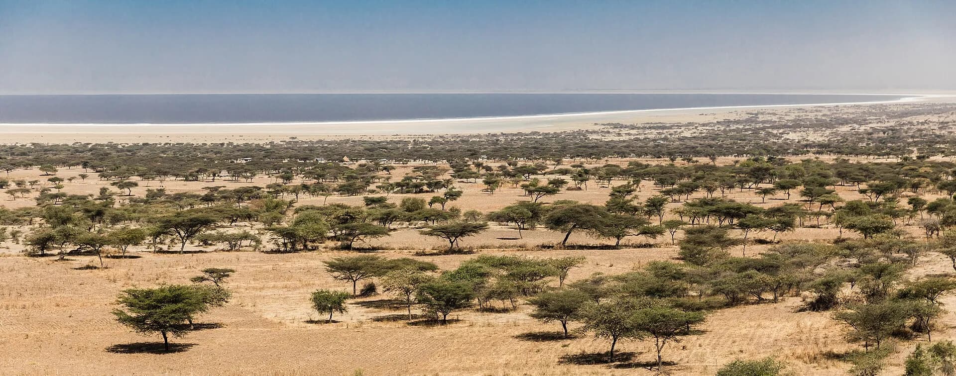Abijatta-Shalla National Park