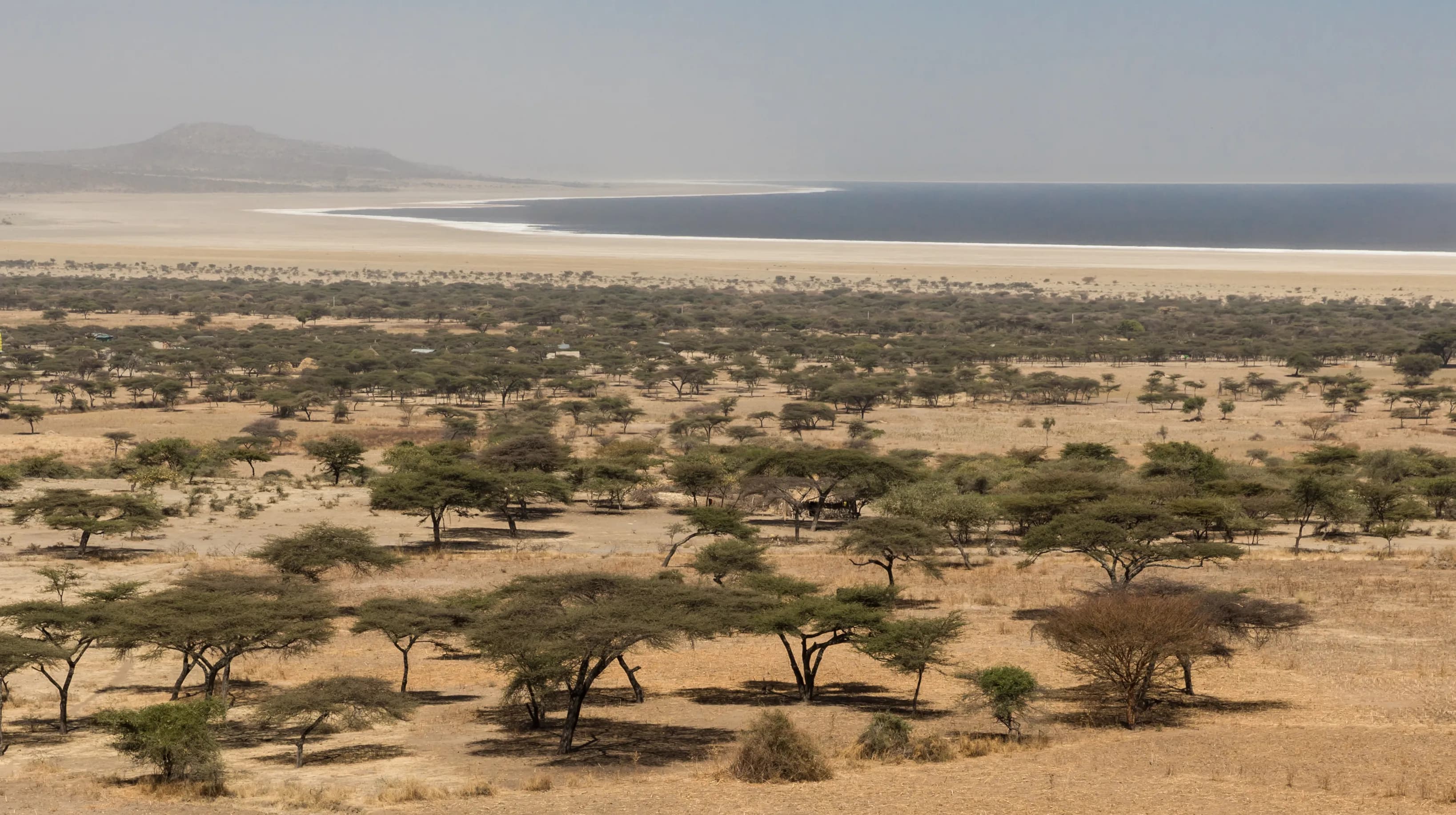 Abijatta-Shalla National Park preview 2