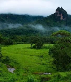 Bale Mountains National Park preview 1