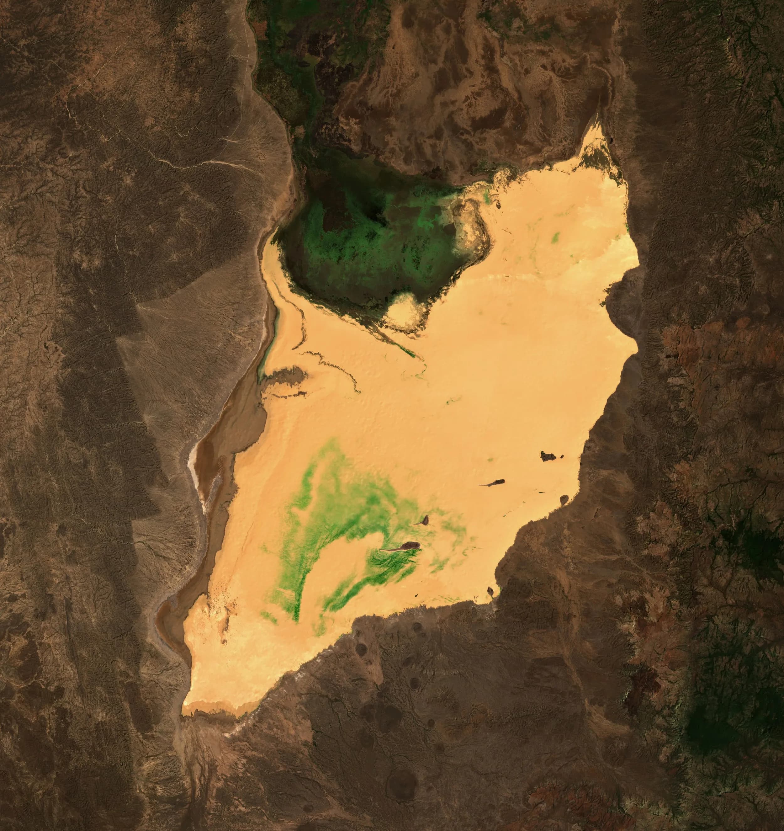 Lake Chew Bahir preview 1