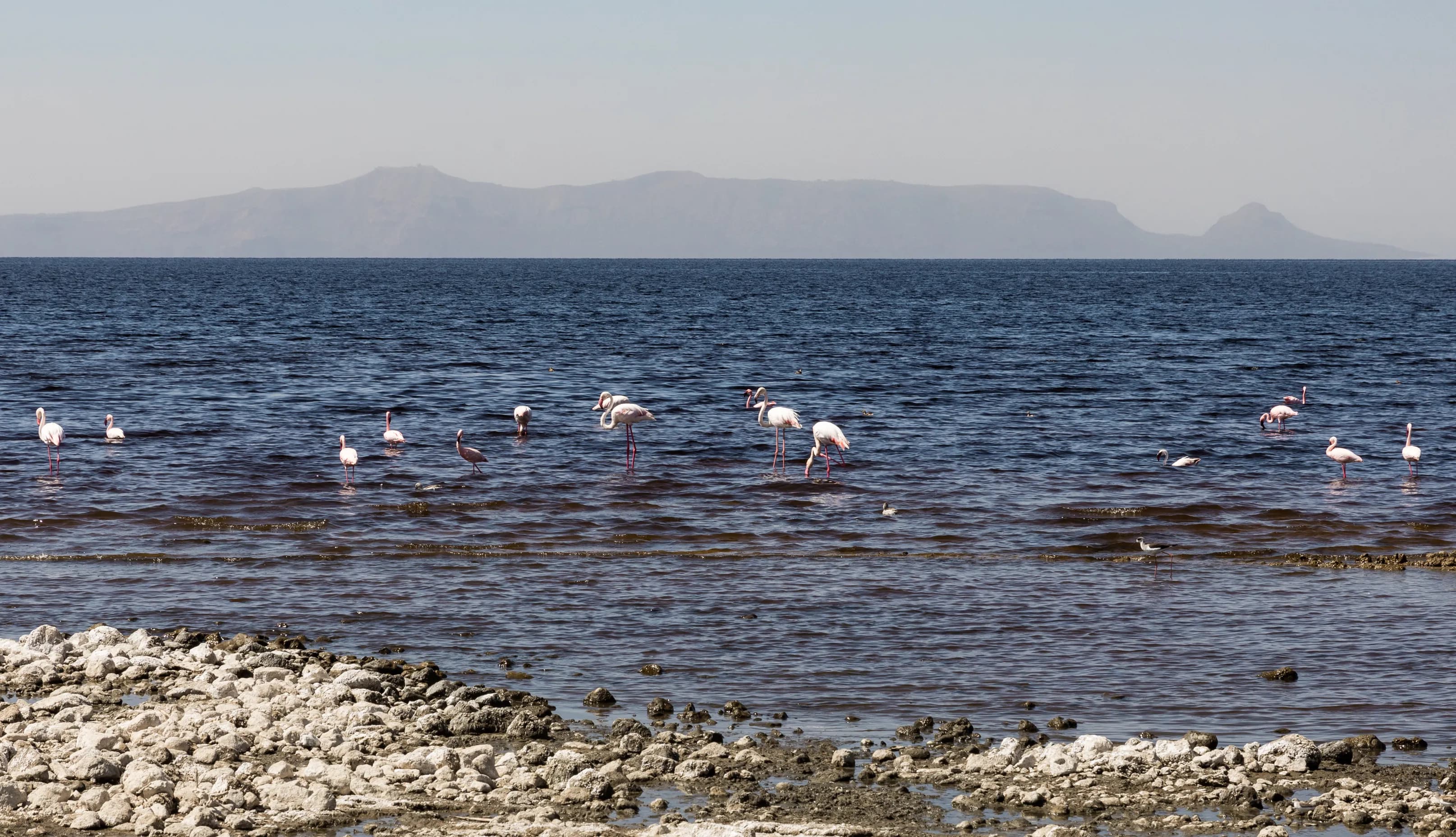Lake Shala preview 2