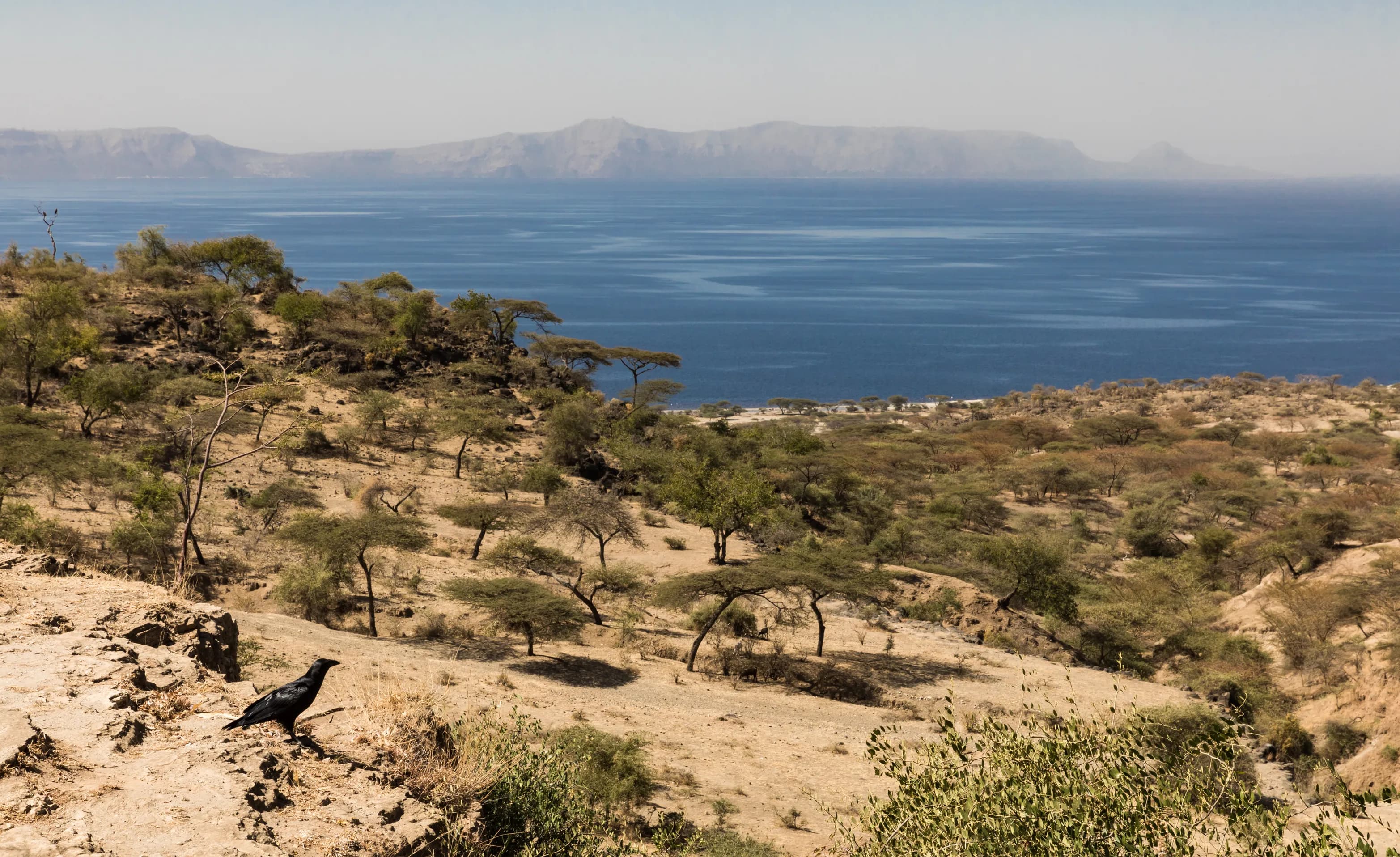 Lake Shala preview 3