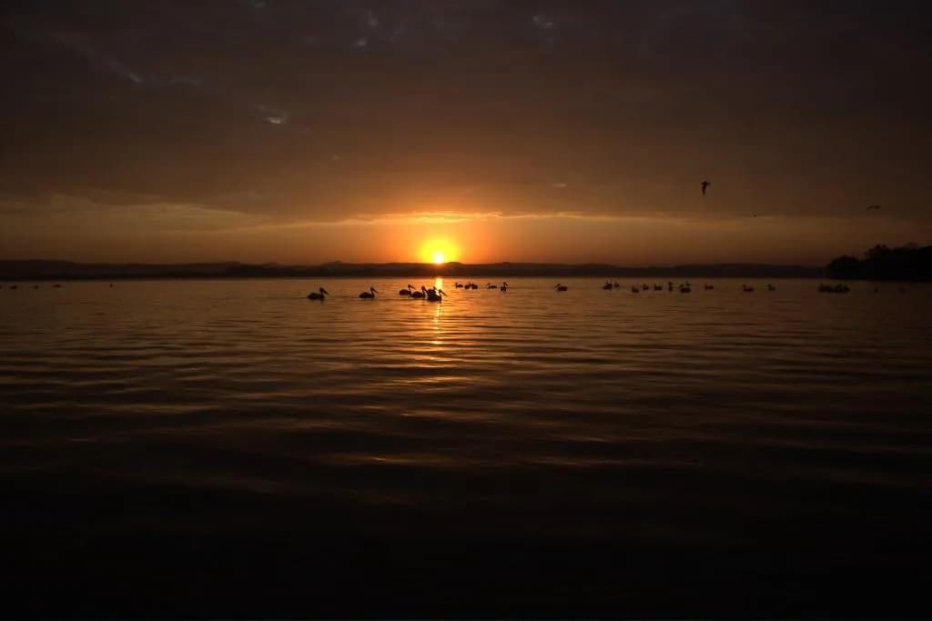 Lake Tana preview