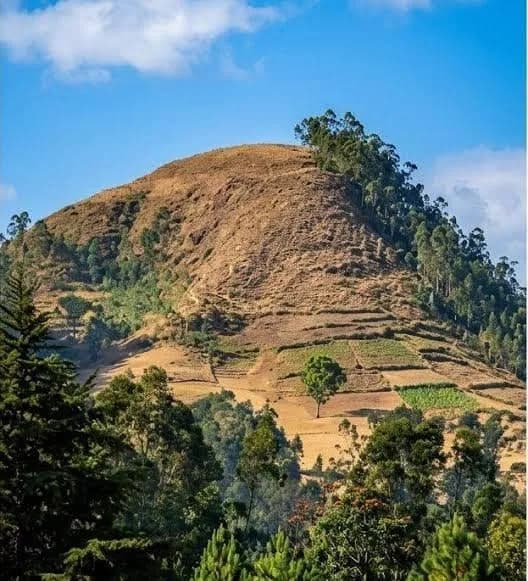 Mount Shonkola