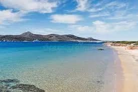 Rema Island preview