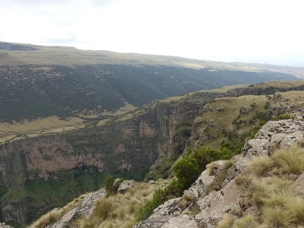 Simien Mountains National Park preview 2