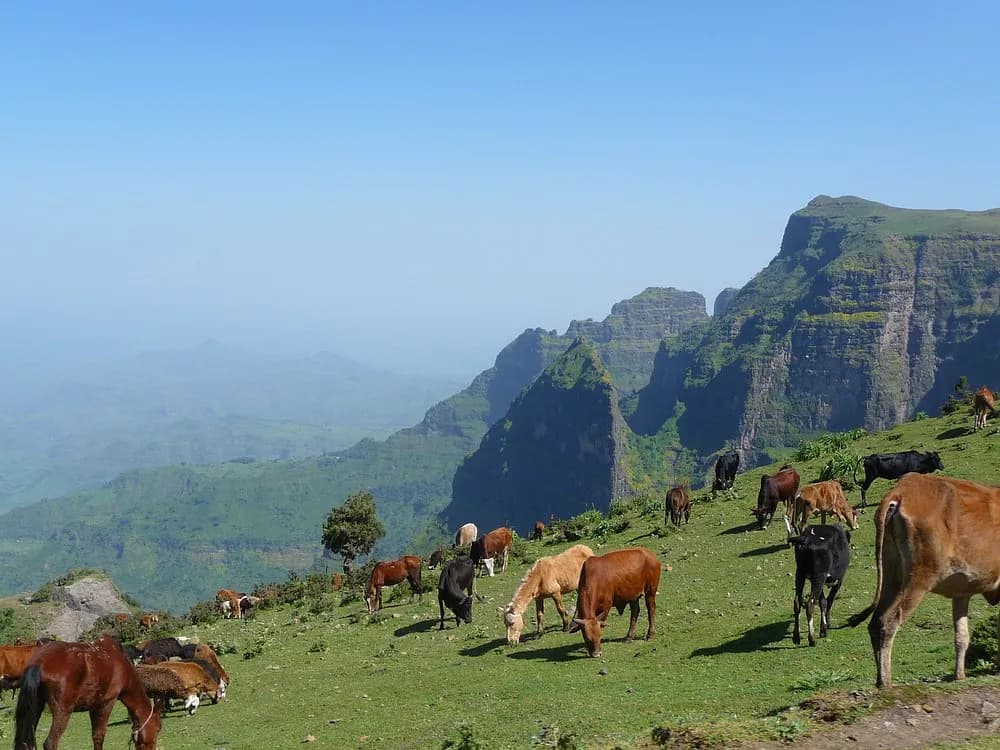 Simien Mountains National Park preview 3