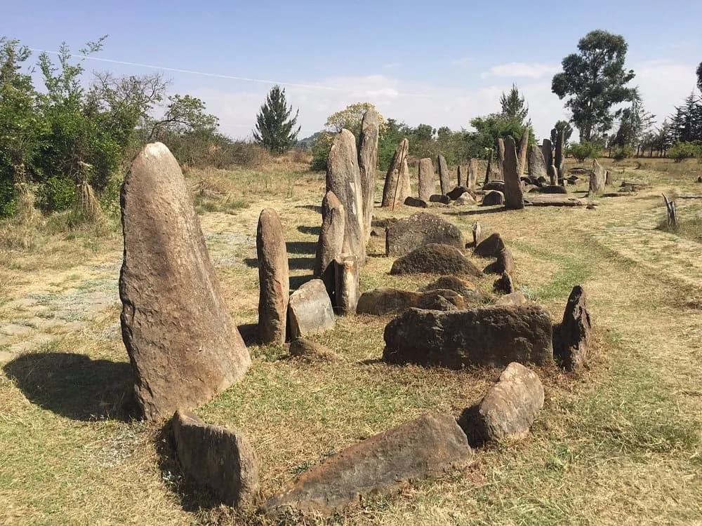 Tiya Archaeological Site preview 1