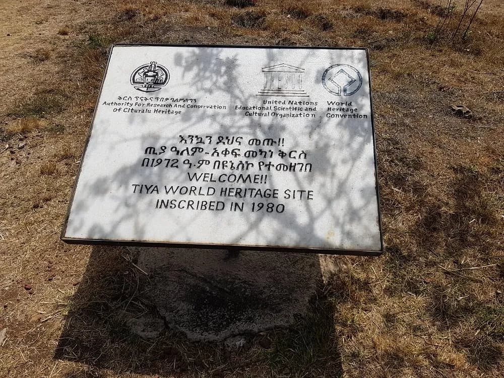 Tiya Archaeological Site preview 3