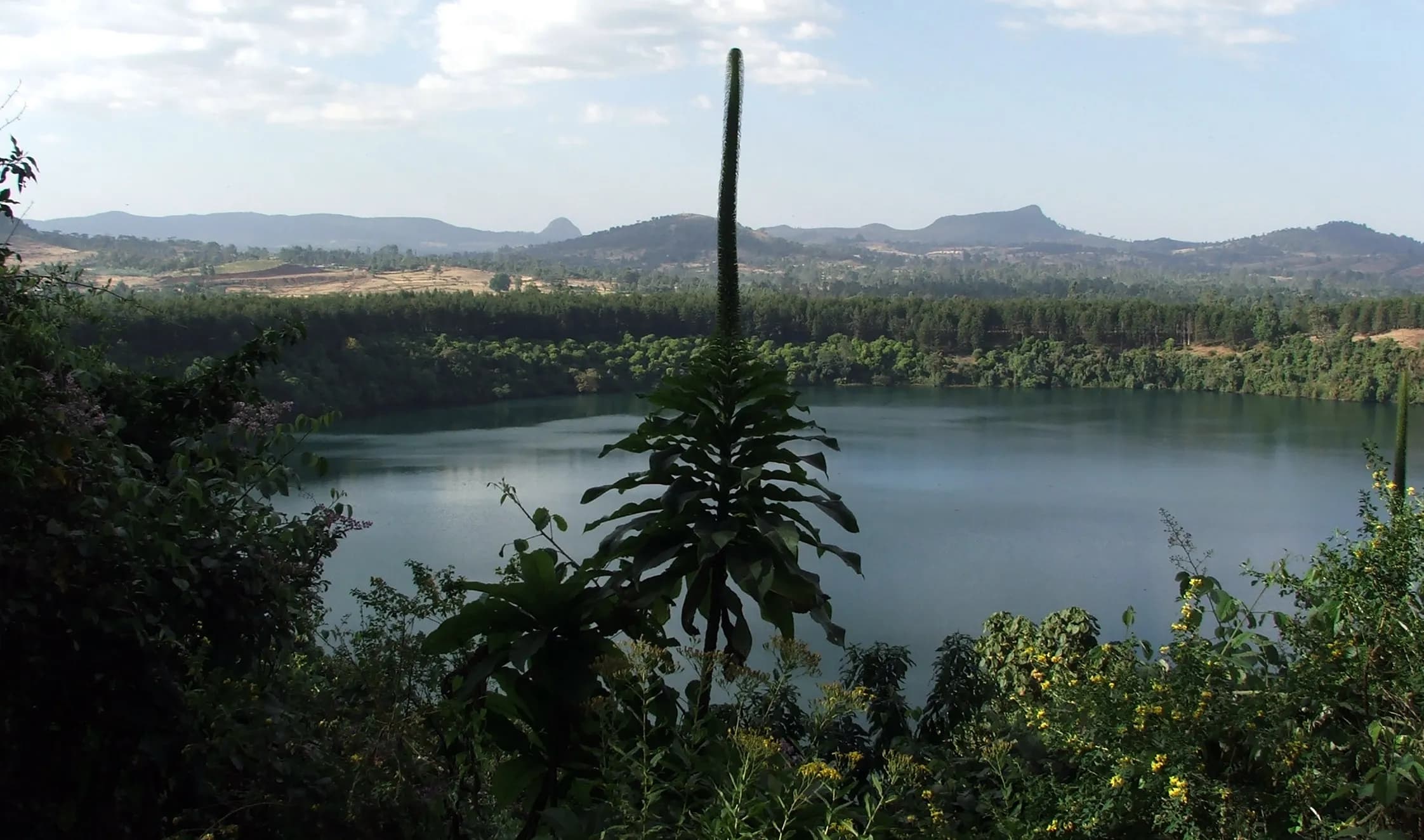 Zengena Lake preview 1