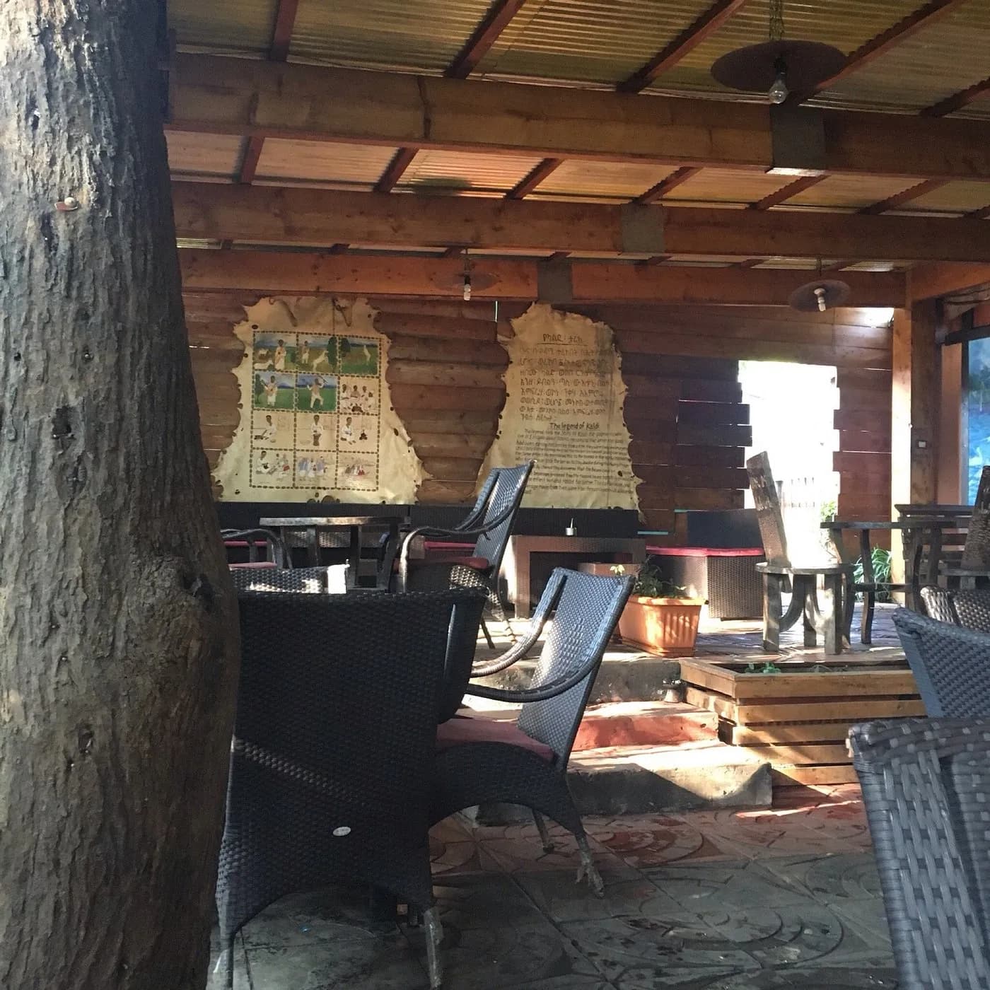 Wude Coffee preview