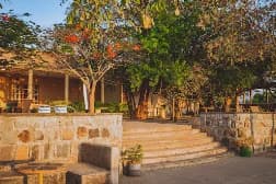 Bekele Mola Hotel preview