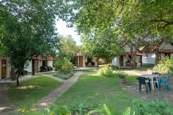 Mathios Menafesha (Dr. Tsegaye Resort) preview 3