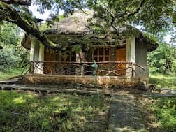 Negash Resort preview 2