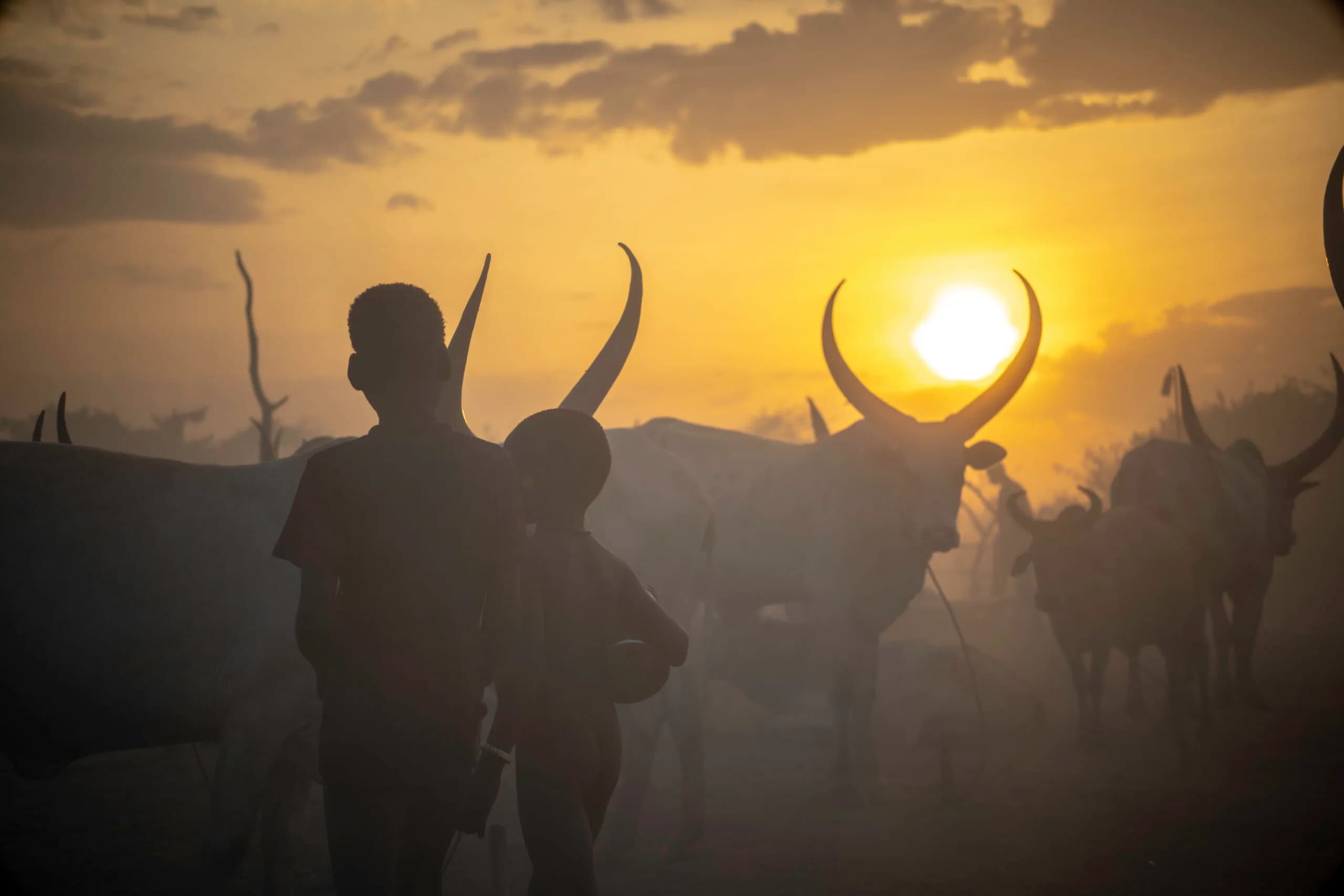 Bona Fide Ethiopia Tours preview