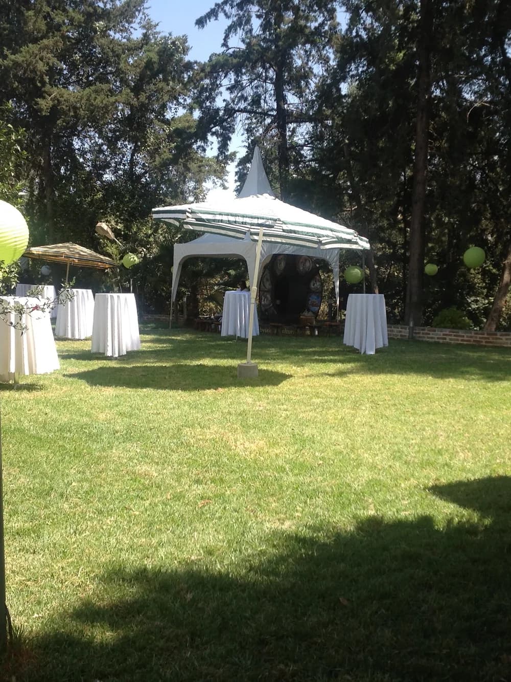 Eden Genet Hall preview