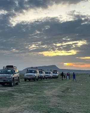 Peak Ethiopia Tours & Car Rental preview