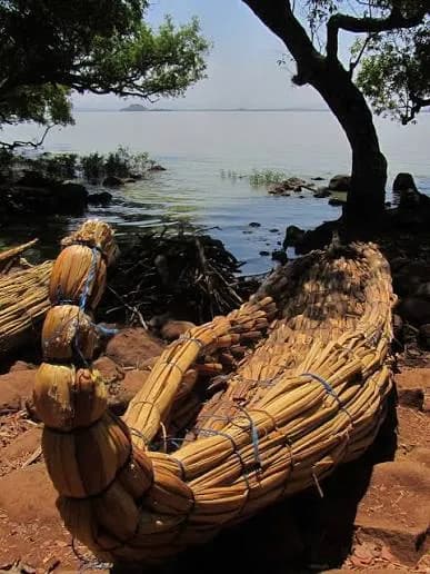 Lake Tana Papyrus Tankwa preview 1