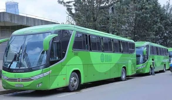 Oda Bus preview 2