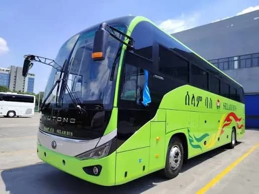 Selam Bus preview 2