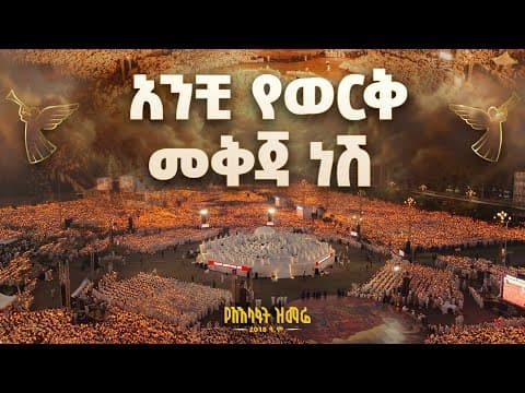 አንቺ የወርቅ መቅጃ ነሽ