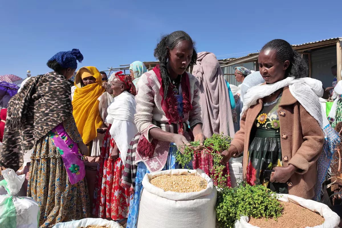 Mekelle Open Market preview 1
