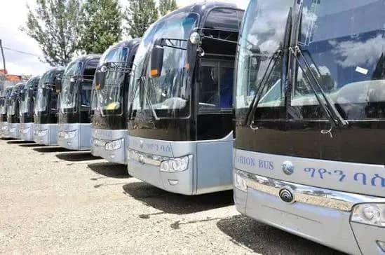 Ghion Bus preview 1