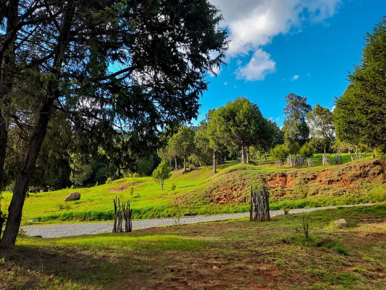 Gulele Botanical Garden preview thumbnail 9