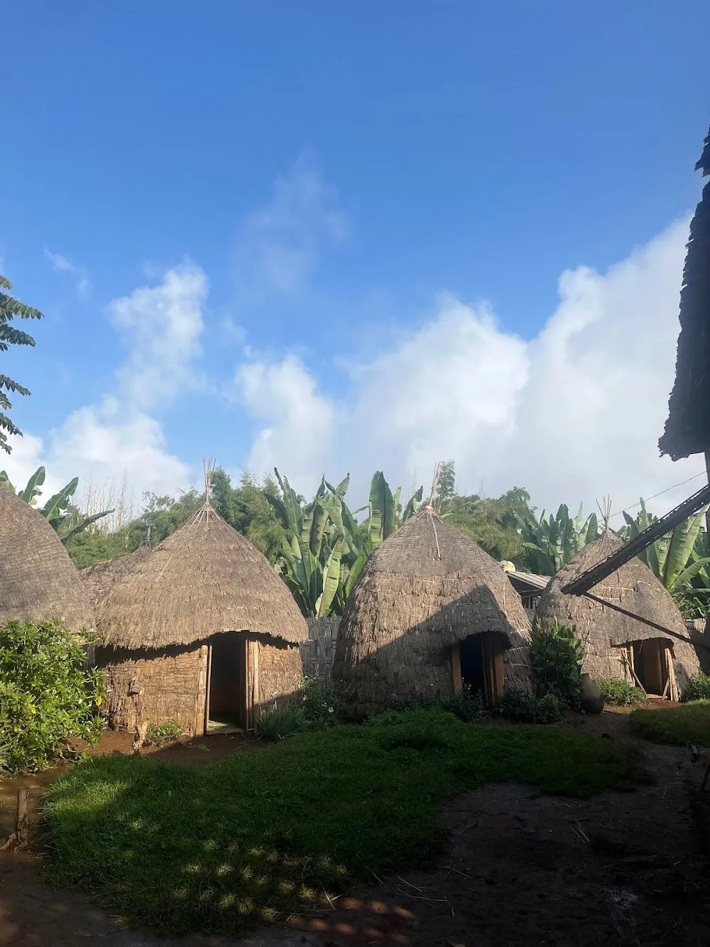 Dorze Village preview thumbnail 6