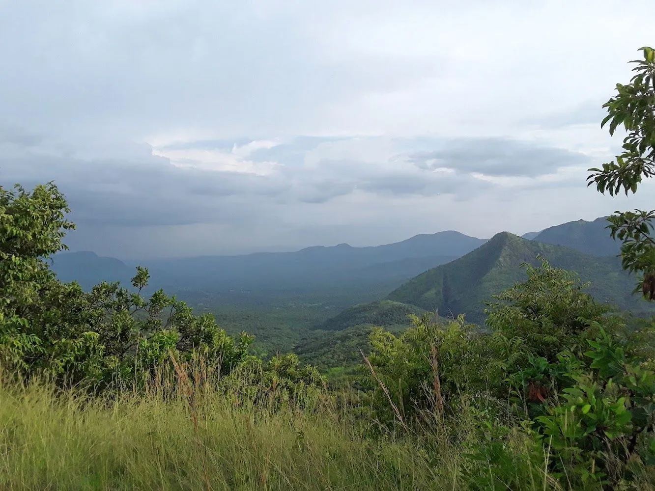 Omo National Park preview 1