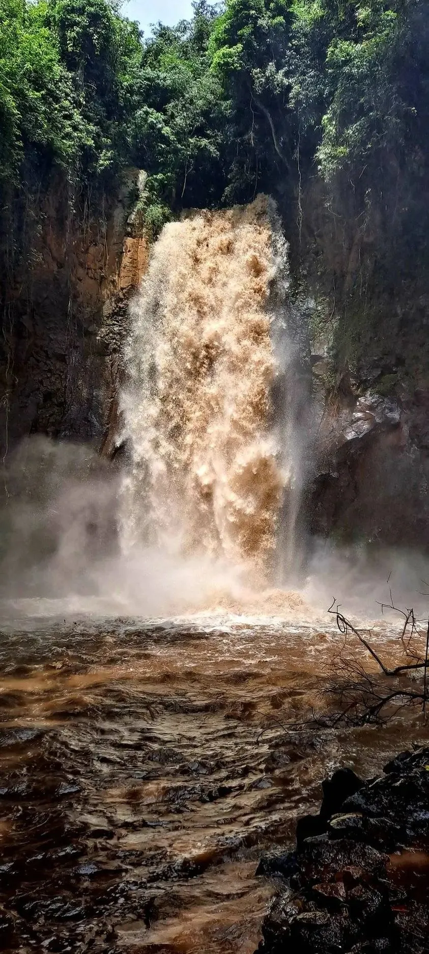 Chebera-Churchura National Park preview thumbnail 5