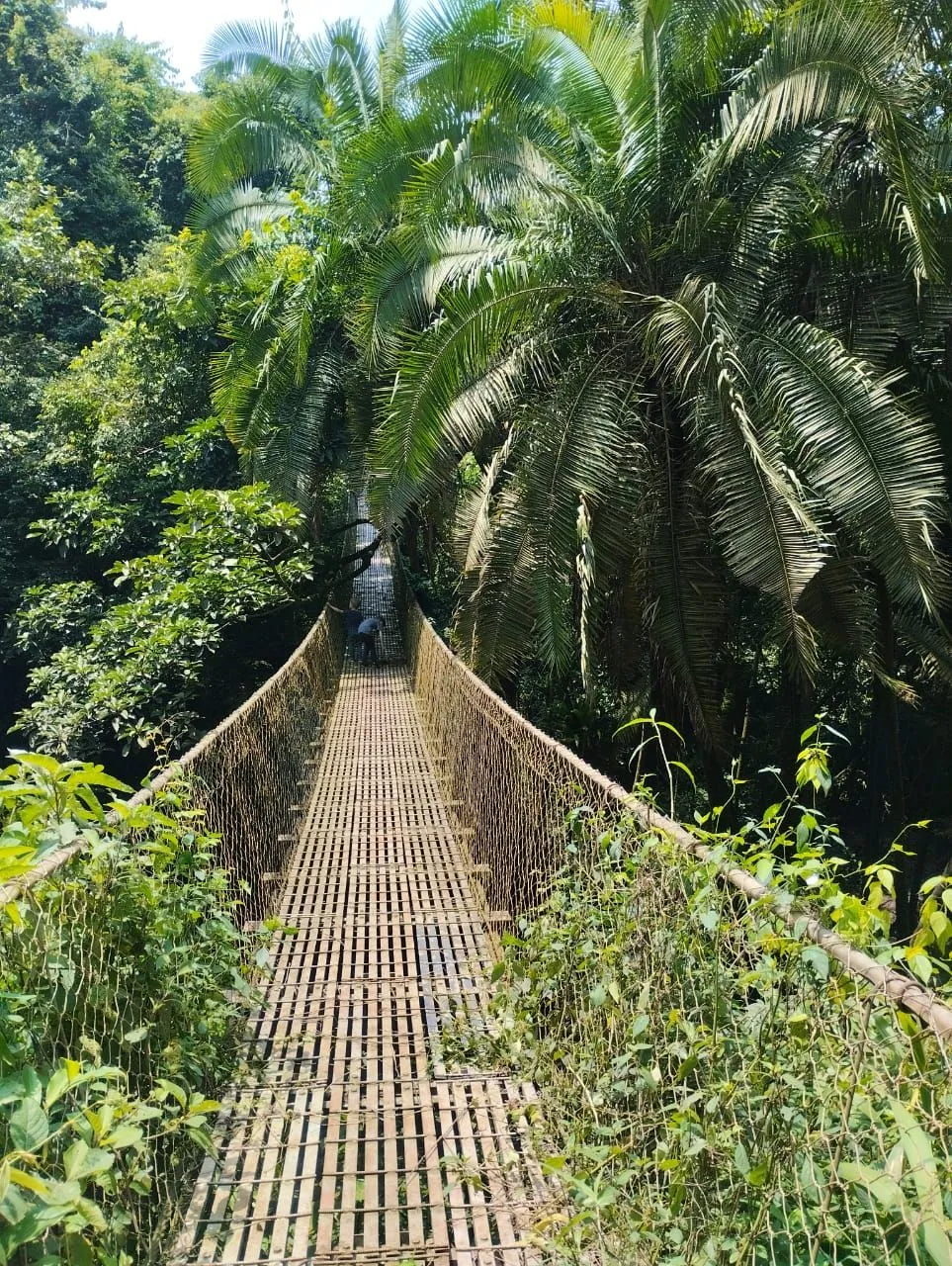 Chebera-Churchura National Park preview thumbnail 7