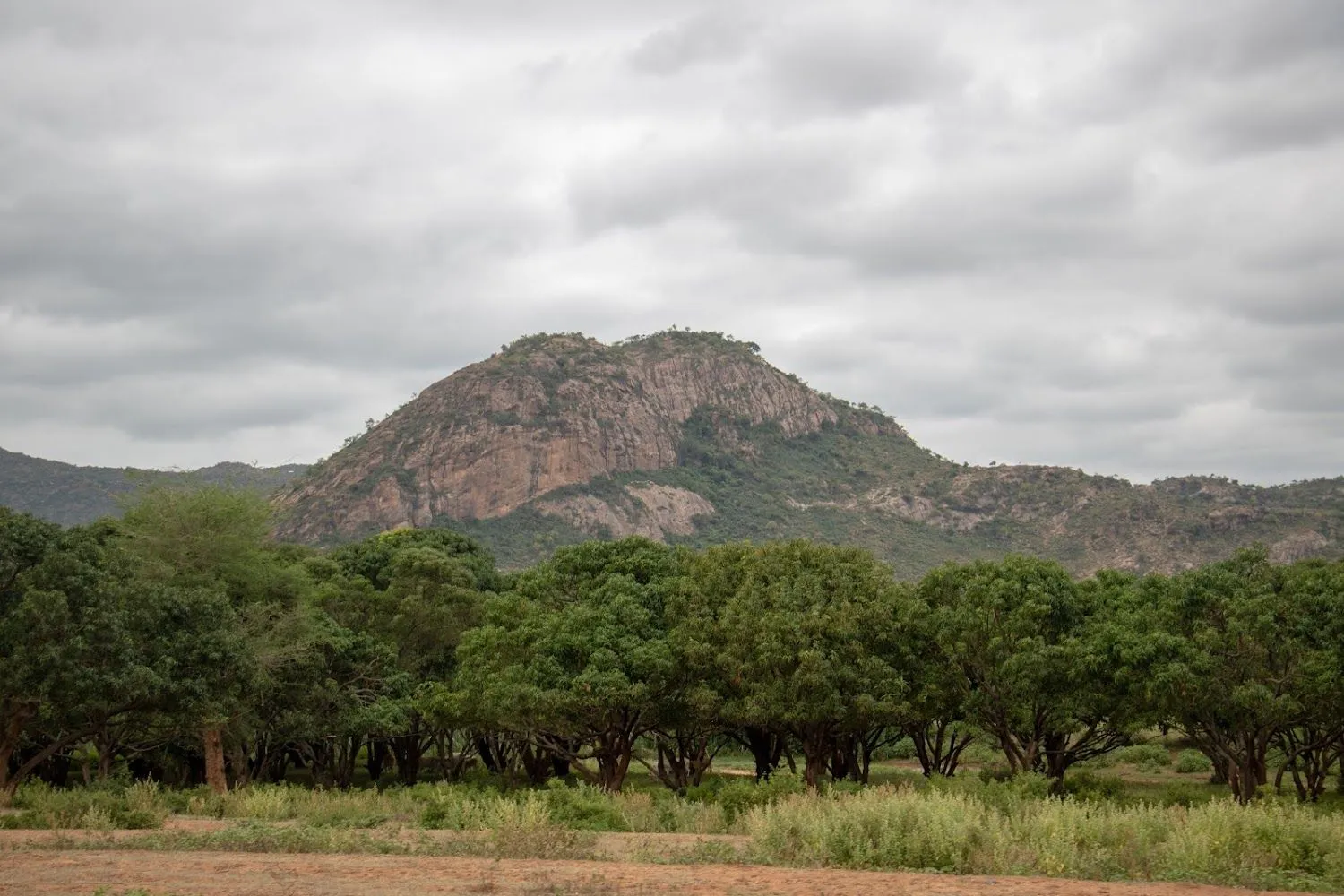 Babile Elephant Sanctuary preview thumbnail 5
