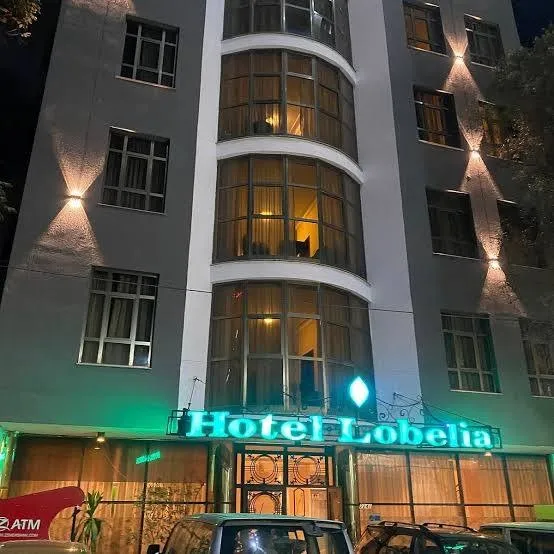 Hotel Lobelia preview