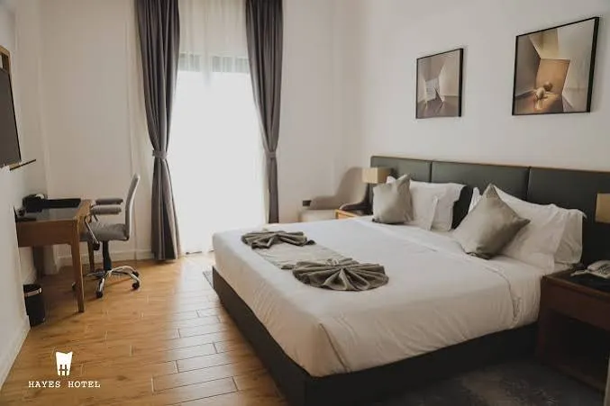 Hayes Hotel preview thumbnail 4