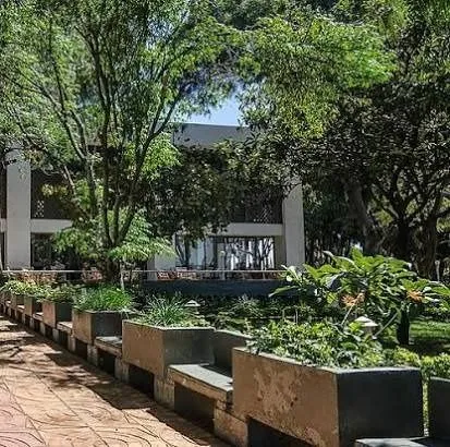 Tana Hotel preview